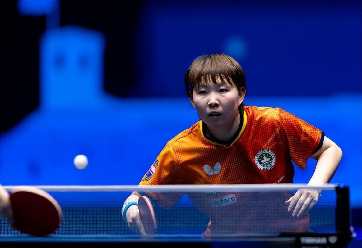 国内球迷 国内球迷