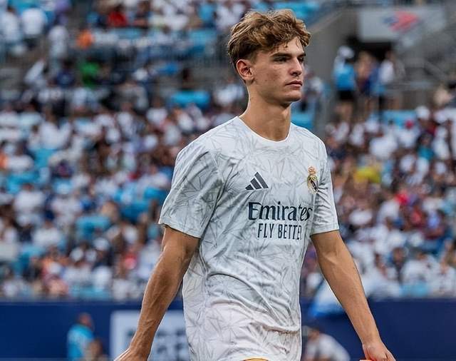 加布里埃尔 加布里埃尔