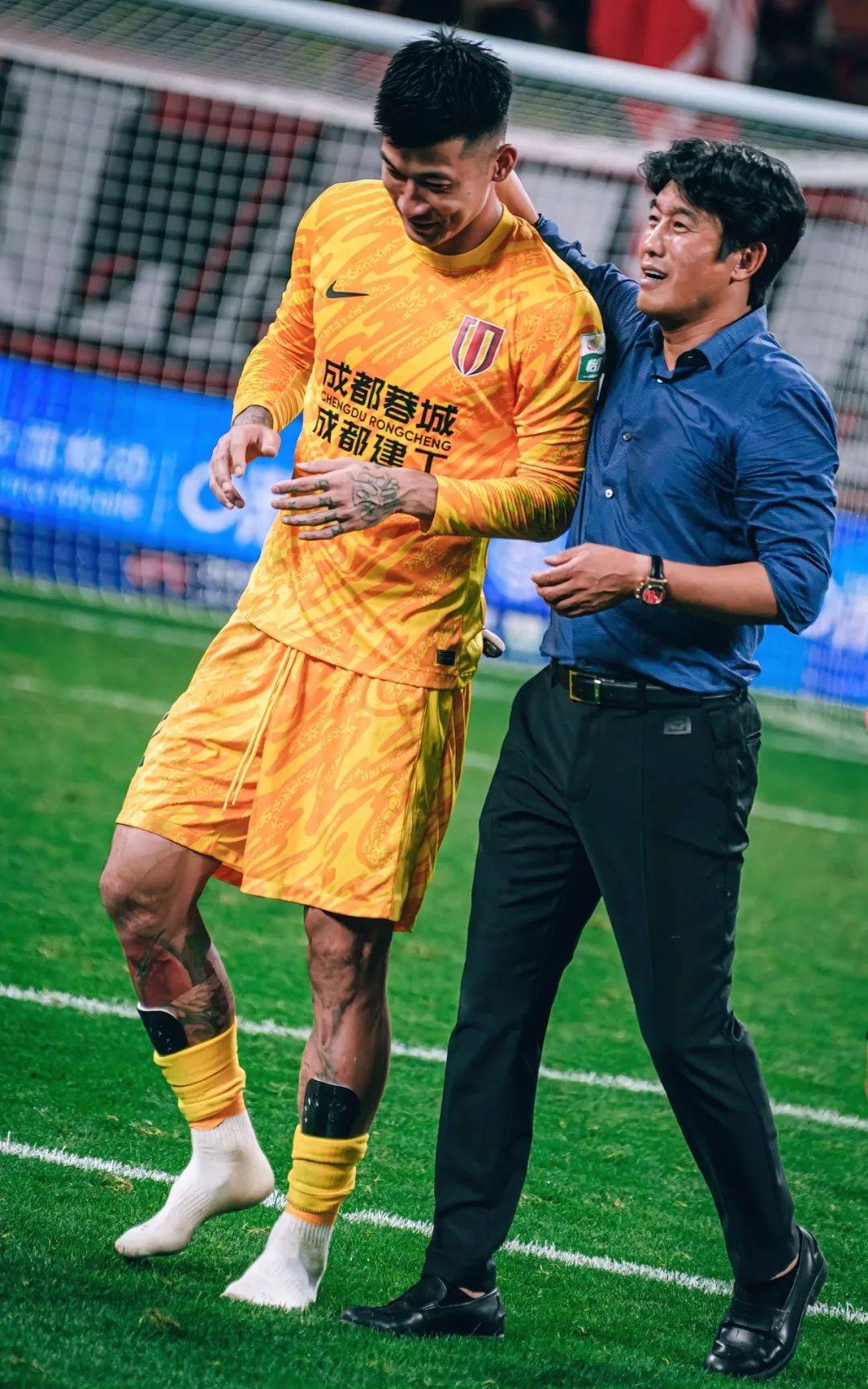 入全新的高 入全新的高